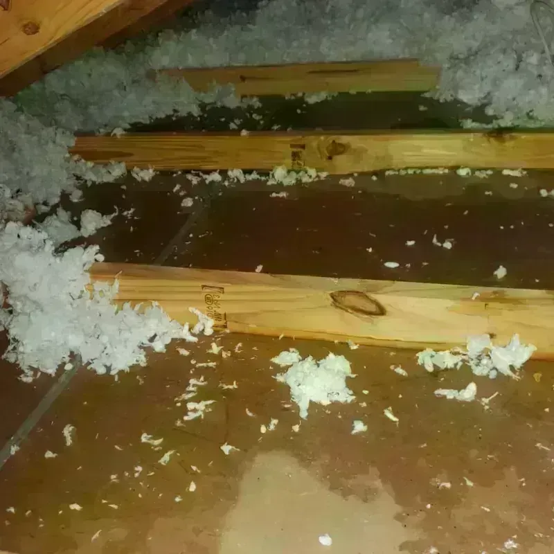 Attic Water Damage in Hayward, WI