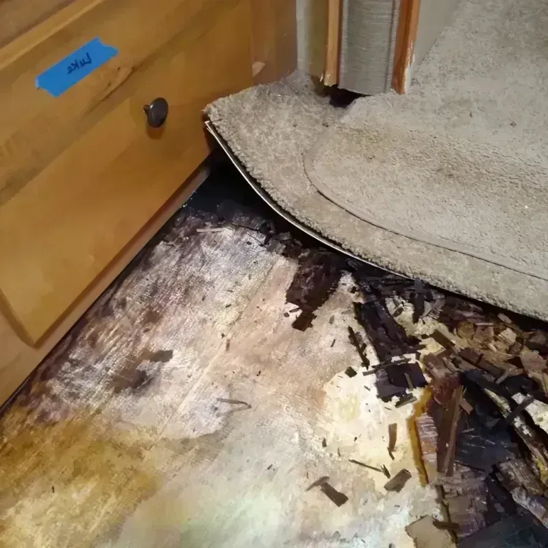 Wood Floor Water Damage in Hayward, WI